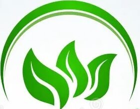 default-logo